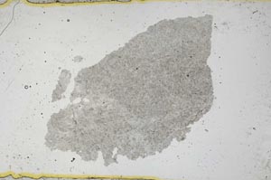 Plane Polarized, S39181