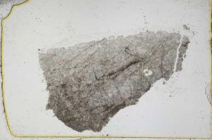 Plane Polarized, S39182