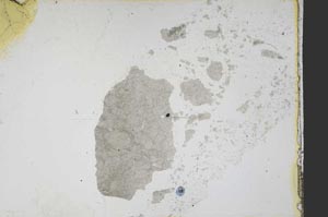 Plane Polarized, S39184