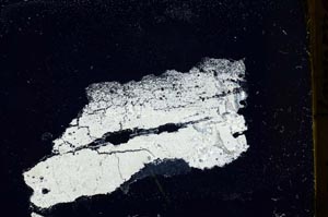 Cross Polarized, S39185