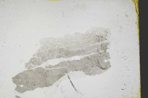 Plane Polarized, S39185
