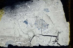 Cross Polarized, S39195