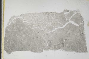 Plane Polarized, S39198