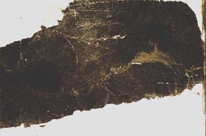 Plane Polarized, S39204
