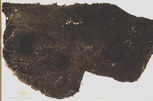 Plane Polarized, S39209
