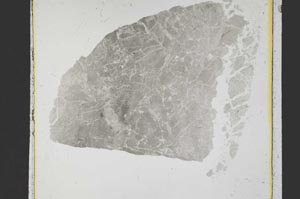 Plane Polarized, S39211/A