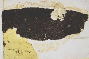 Plane Polarized, S39217