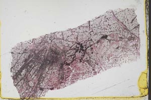 Plane Polarized, S39224
