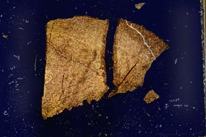 Cross Polarized, S39225