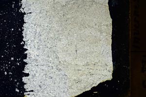 Cross Polarized, S39228/A