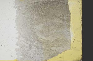 Plane Polarized, S39228/A