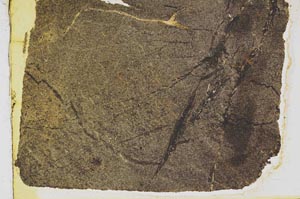 Plane Polarized, S39229