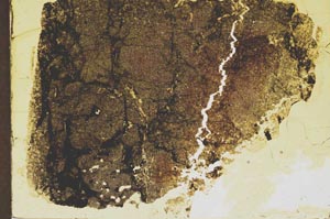 Plane Polarized, S39233