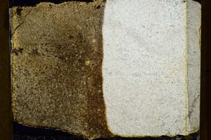 Cross Polarized, S39323