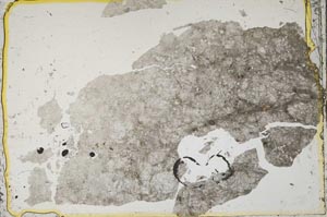 Plane Polarized, S39329