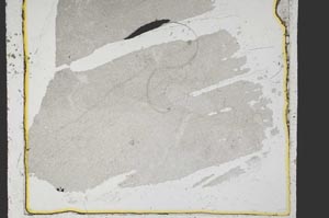 Plane Polarized, S39333