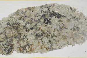Plane Polarized, S39349