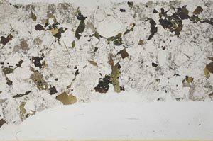 Plane Polarized, S39437