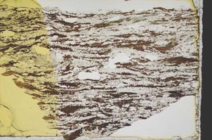 Plane Polarized, S39444
