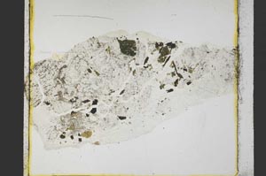 Plane Polarized, S39446