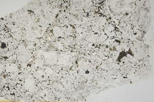 Plane Polarized, S39450
