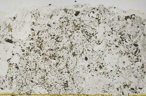Plane Polarized, S39451