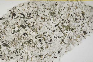 Plane Polarized, S39453