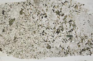Plane Polarized, S39454
