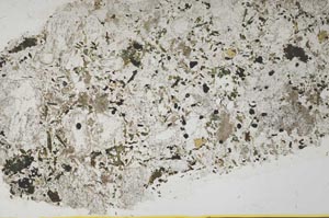 Plane Polarized, S39455