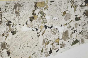 Plane Polarized, S39456