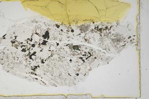 Plane Polarized, S39462