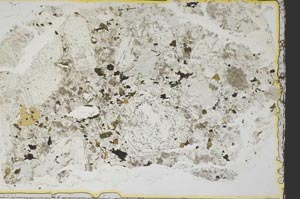 Plane Polarized, S39464