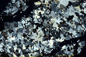 Cross Polarized, S39475