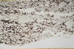 Plane Polarized, S39476