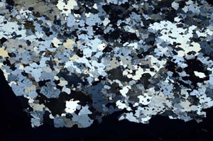 Cross Polarized, S39478