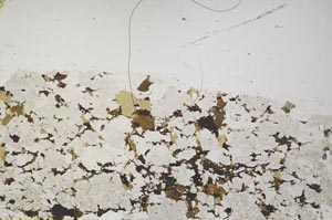 Plane Polarized, S39480