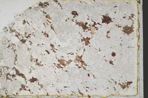 Plane Polarized, S39499