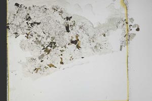 Plane Polarized, S39507