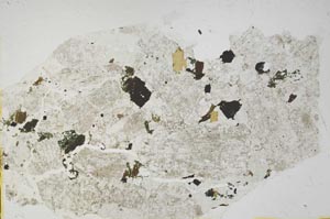 Plane Polarized, S39522