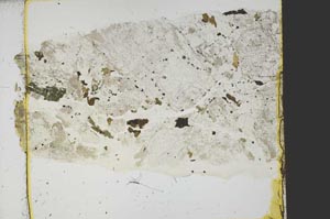 Plane Polarized, S39525