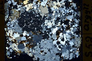 Cross Polarized, S39527