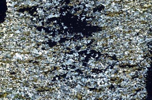 Cross Polarized, S39537