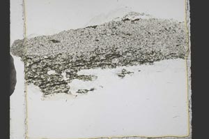 Plane Polarized, S39548