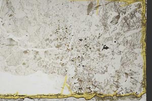 Plane Polarized, S39551