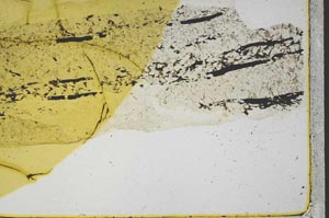 Plane Polarized, S39574