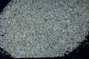 Cross Polarized, S39588