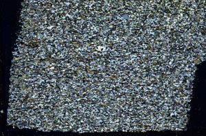 Cross Polarized, S39589