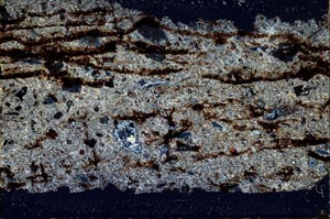 Cross Polarized, S39623