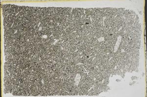 Plane Polarized, S39636