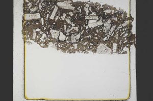 Plane Polarized, S39645